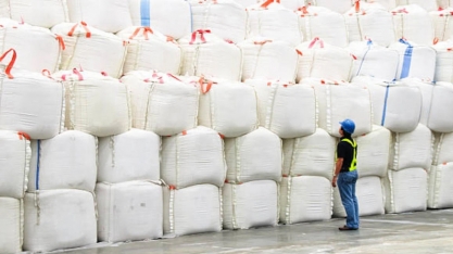 Com recorde em novembro, exportação de açúcar do Brasil brilha também por preços, diz JOB