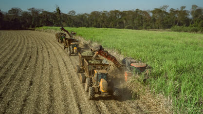 Safra da Usina Estiva termina com moagem quase 14% maior do que o esperado