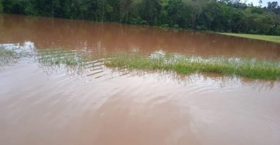Foto: Fernando Dagios/arquivo pessoal