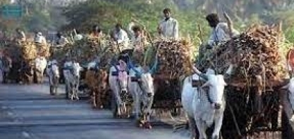 Índia lançará em breve gasolina com 20% de mistura de etanol, diz ministro