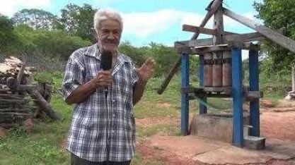 Colheita de cana atravessa gerações no município de Itainópolis