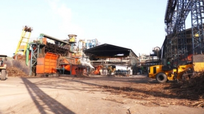 Asplana: chuvas voltam a causar prejuízos na safra 22/23