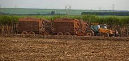 Cana: moagem do Centro-Sul em 2023/24 pode subir para 587,6 milhões de t, estima StoneX