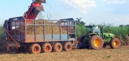 Clima foi um desafio na safra de cana-de-açúcar, que está perto do fim
