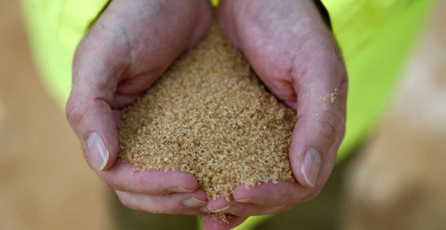 Em média, os agricultores relataram uma queda de 15% no rendimento da cana, mas em alguns bolsões eles disseram que a perda por hectare seria de 35% (Imagem: REUTERS/Peter Nicholls)