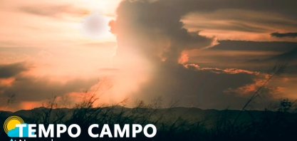 Sistema TEMPOCAMPO divulga boletim de novembro