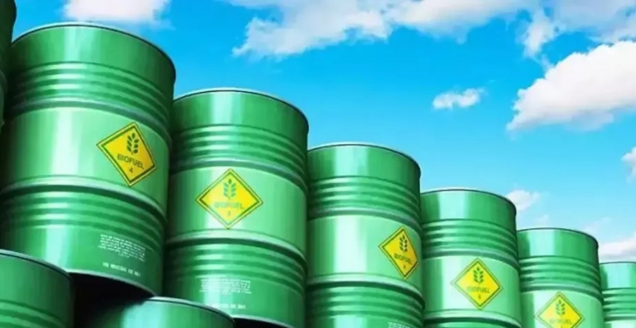 Indonésia pode começar a implementar um programa para usar biodiesel B35 — Foto: Reprodução