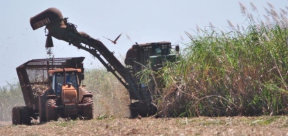 Mato Grosso do Sul: Setor sucroenergético exportou US$ 312 milhões entre janeiro e outubro de 2022