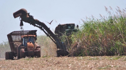 Mato Grosso do Sul: Setor sucroenergético exportou US$ 312 milhões entre janeiro e outubro de 2022