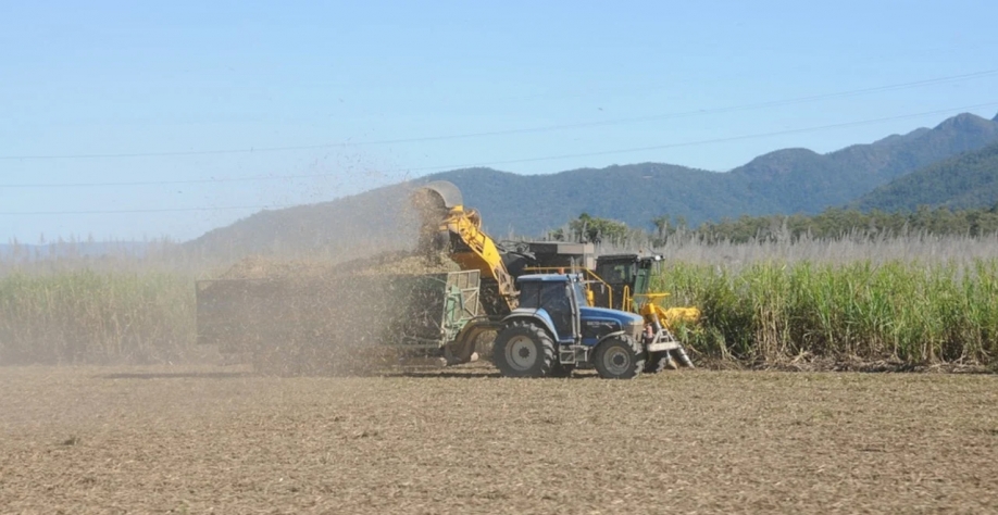 O etanol de cana responderá por uma produção de 36,1 bilhões de litros, versus 26,4 bilhões em 2022 (Imagem: Pixabay/KathyB-Photos)