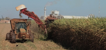 CNA discute relações de trabalho na cadeia da cana-de-açúcar