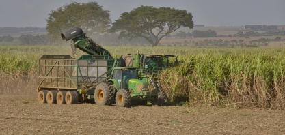 Safra de cana mineira acumula 67,1 milhões de toneladas em 2022/23