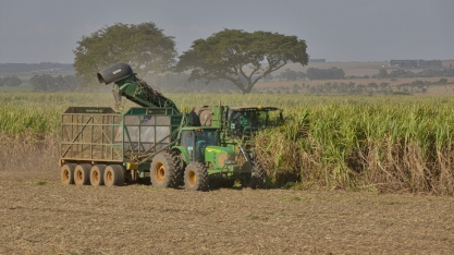 Safra de cana mineira acumula 67,1 milhões de toneladas em 2022/23