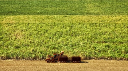 Moagem de cana registra crescimento de 3% na safra 22/23