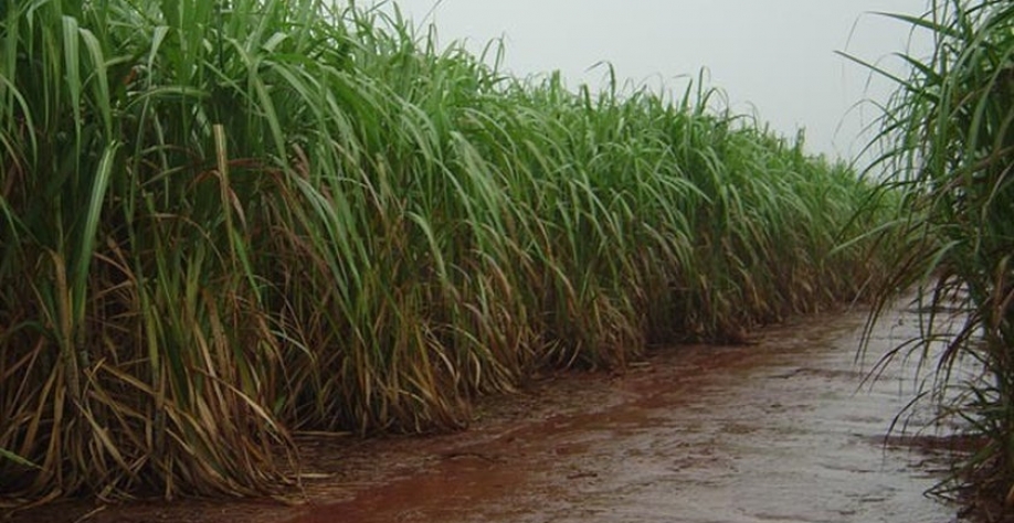 Fortes chuvas em Alagoas - Foto: Assessoria