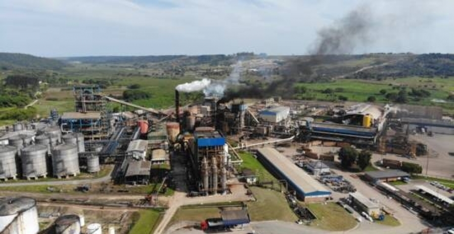 Ciclo conta com 15 unidades industriais em operação em Alagoas - Foto: ARQUIVO