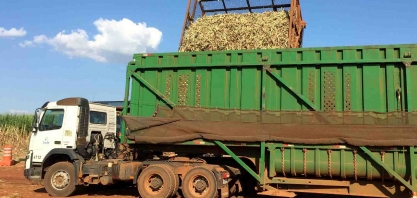 Exportação de açúcar do Brasil supera 4 milhões de toneladas em novembro