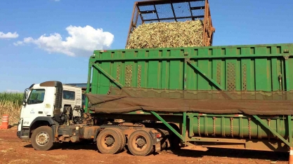 Exportação de açúcar do Brasil supera 4 milhões de toneladas em novembro