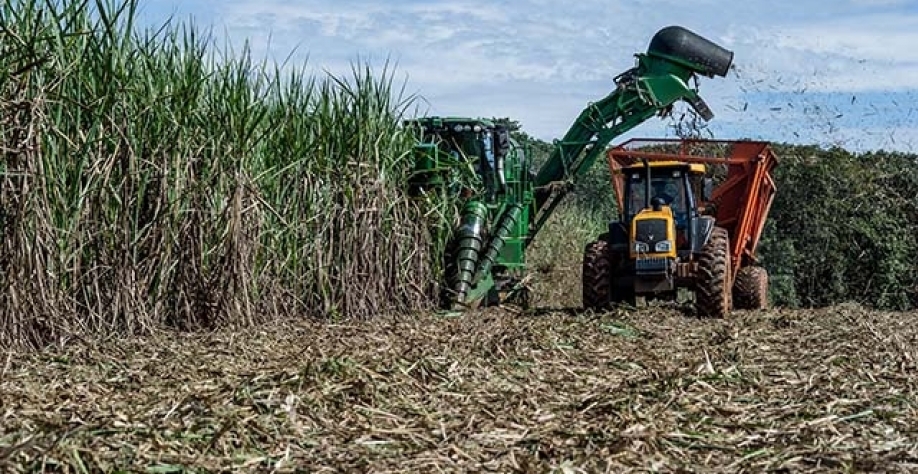 Segundo a Faemg, setor sucroenergético destinou mais de 50% da produção para o açúcar | Crédito: Mayke Toscano/Gcom