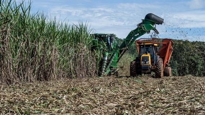 Agronegócio mineiro fecha 2022 com recorde nas exportações