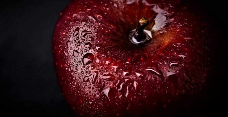 Estudo feito por grupos da Unicamp e da UFABC mostra que a utilização da bioenergia evita a emissão de gases de efeito estufa; outro benefício do biorreator é a conversão do bagaço em adubo orgânico. (foto: Myléne/Pixabay )