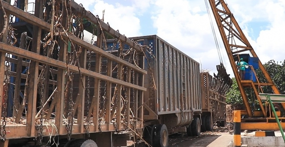 Face ao mesmo período do ciclo passado, quando as usinas alagoanas haviam beneficiado mais de 12,8 milhões de toneladas de cana, foi registrada uma variação de - 9,7%. - Foto: Assessoria