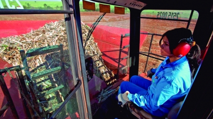 Cadeia bioenergética participa da pesquisa Mulheres da Cana-de-Açúcar