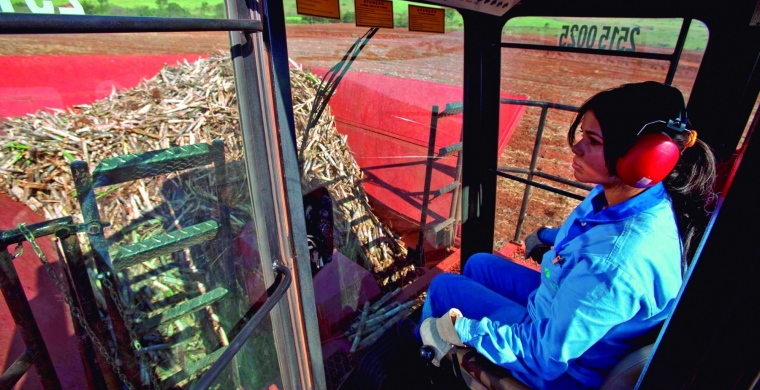 Cadeia bioenergética participa da pesquisa Mulheres da Cana-de-Açúcar