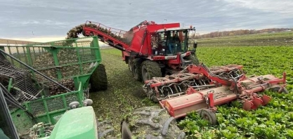 Produção de açúcar no Reino Unido deve ser prejudicada por clima adverso no inverno