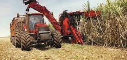 Forbes Agro100 2022: As maiores empresas do agronegócio brasileiro