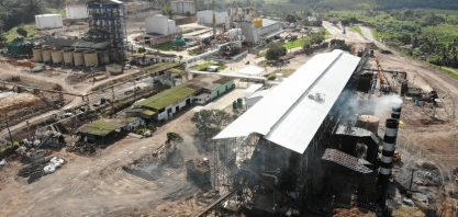 Sindaçúcar-AL mantém expectativa de moagem superior a 19 mi de toneladas de cana