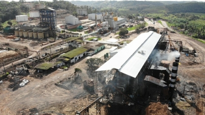 Sindaçúcar-AL mantém expectativa de moagem superior a 19 mi de toneladas de cana