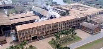Cana: GVO inicia pagamento de credores após homologação do plano de recuperação judicial