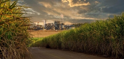 Usinas de cana estão de olho no clima para fevereiro e março