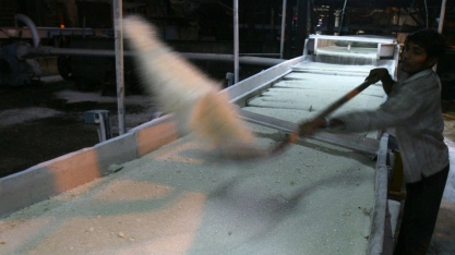 Usinas de açúcar da Índia fecharão mais cedo por impacto de chuvas, diz governo