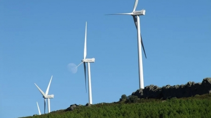 Bioeconomia pode gerar faturamento de US$ 284 bilhões anuais