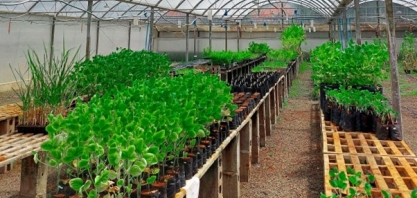 Conheça um pouco dos diferenciais do ProBiom, o biofertilizante da BiomCrop