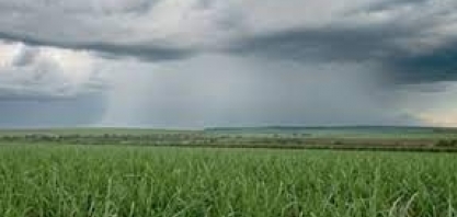 Semana de chuvas fortes em diversas pontos do Brasil; confira a previsão do tempo