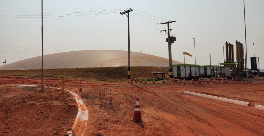 Na safra 2022/23, Tereos moeu 17,3 mi/ton de cana. Expectativa para o próximo ciclo é de uma produção ainda maior. Foto: Leonardo Ruiz