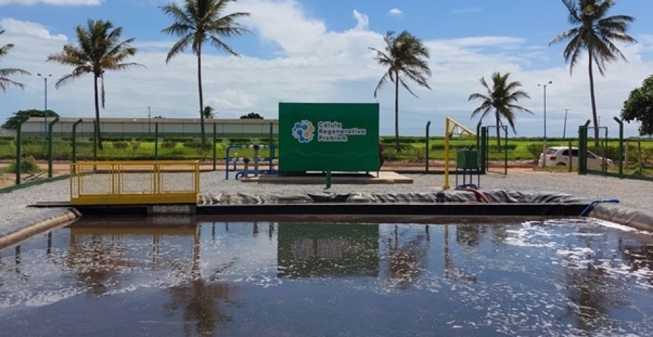 As células de multiplicação da BiomCrop denominadas Célula Regenerativa ProBiom - CRP, instaladas nas fazendas, produzem o biofertilizante; no conceito 3Bs, elas representam a biogeografia