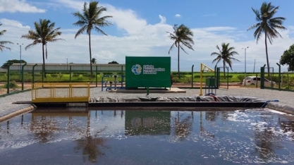 Esalq e BiomCrop desenvolvem novo conceito para reposição da biodiversidade do solo