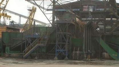 Expectativa da safra de cana de açúcar é de 19,5 milhões de toneladas; crescimento de 7,5% - ontem, 22/01/2023