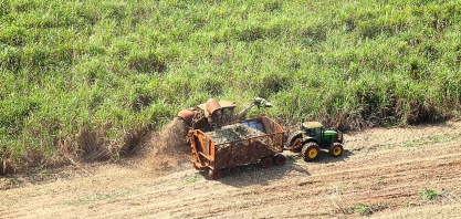 Usina Jacarezinho registra produtividade agrícola 21% acima da média do Centro-Sul em outubro