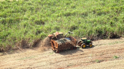 Usina Jacarezinho registra produtividade agrícola 21% acima da média do Centro-Sul em outubro