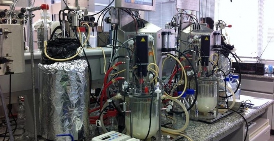 Grupos da Unicamp e da USP identificaram os genes que conferem à cepa industrial Saccharomyces cerevisiae SA-1 resistência a compostos inibidores da fermentação gerados durante o pré-tratamento do bagaço da cana. Conhecimento pode orientar o trabalho de e