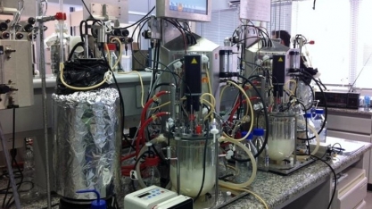 Estudo possibilita criação de levedura modificada especificamente para produzir etanol de segunda geração