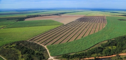 Uisa é a primeira do Brasil a conquistar a certificação regenagri para sua produção de cana-de-açúcar