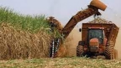 O que a China comprou do agro do Brasil por US$ 50,8 bi