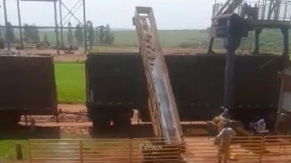 Alcoolvale:colaboradores constroem esteira rolante ao lado da sonda de amostragem de cana-de-açúcar