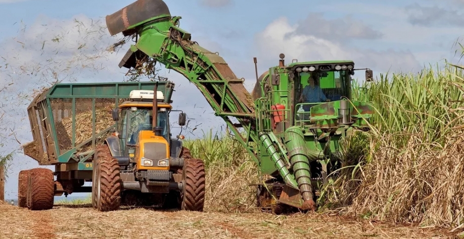 Colheita da cana-de-açúcar — Foto: Tadeu Fessel/Unica